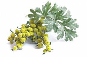 izvleček pelina v NEOfloraxu