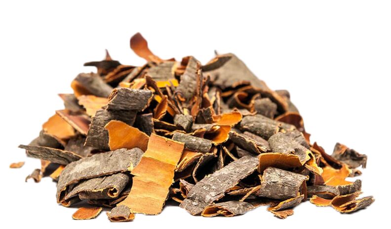 lubje trepetlike v NEOfloraxu